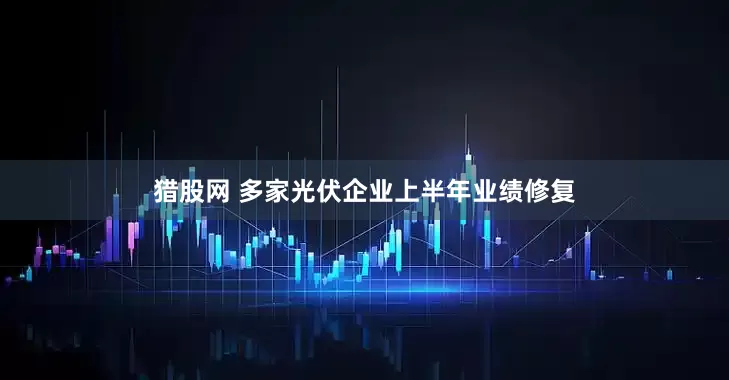 猎股网 多家光伏企业上半年业绩修复